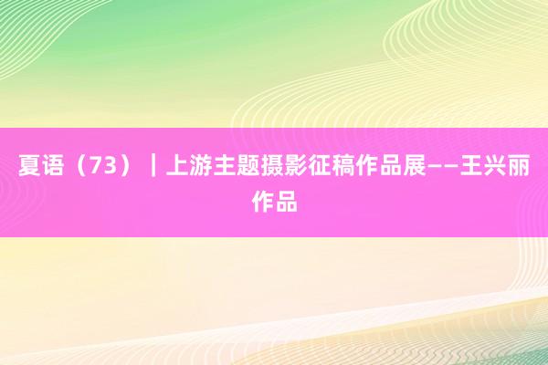 夏语（73）｜上游主题摄影征稿作品展——王兴丽作品