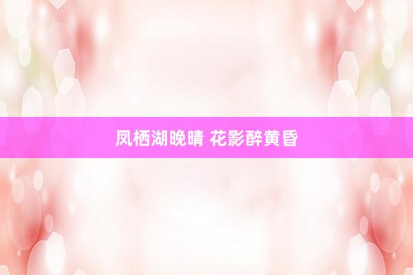 凤栖湖晚晴 花影醉黄昏
