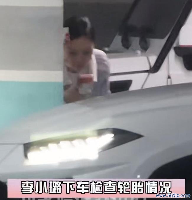 李小璐被指疑似生二胎 娱乐圈再添新成员？