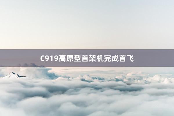 C919高原型首架机完成首飞