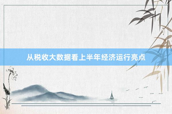 从税收大数据看上半年经济运行亮点