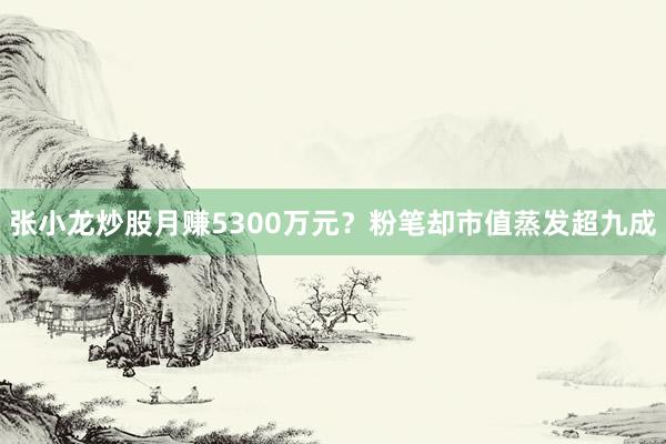 张小龙炒股月赚5300万元？粉笔却市值蒸发超九成