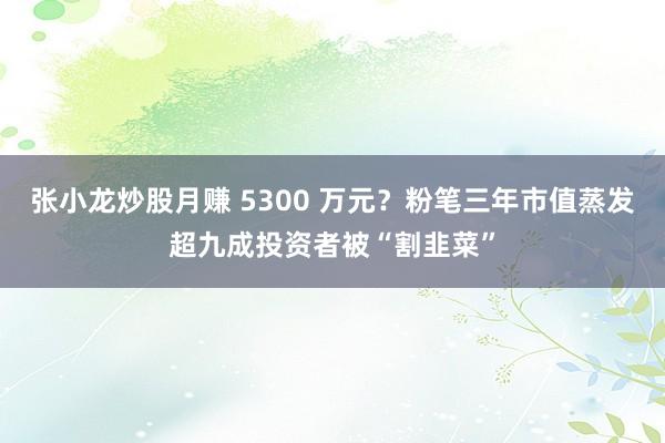 张小龙炒股月赚 5300 万元?粉笔三年市值蒸发超九成投资者被“割韭菜”