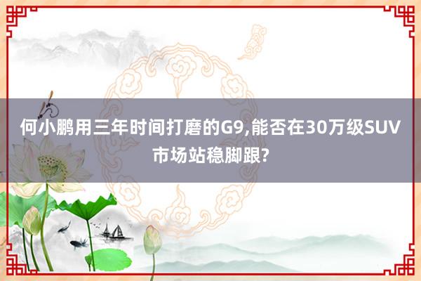 何小鹏用三年时间打磨的G9,能否在30万级SUV市场站稳脚跟?