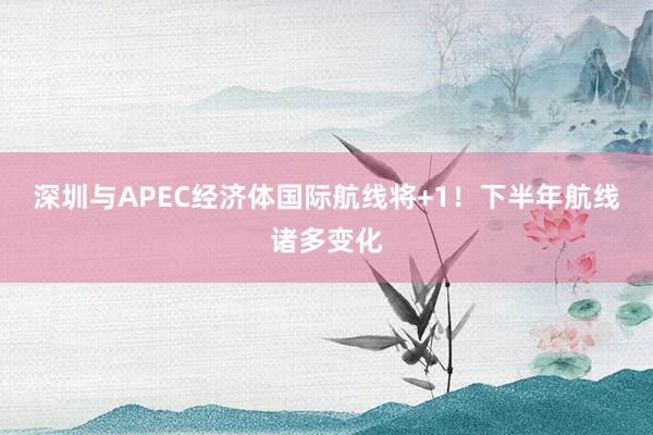 深圳与APEC经济体国际航线将+1！下半年航线诸多变化