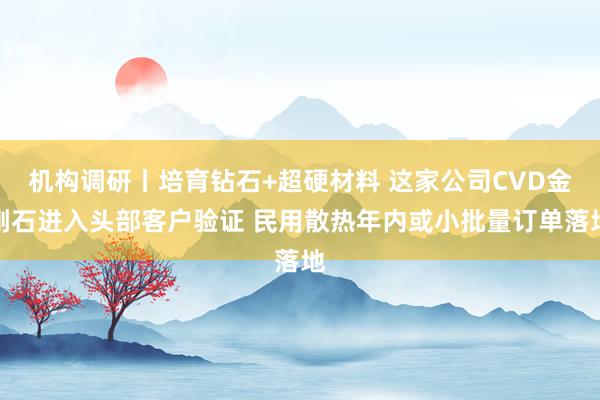 机构调研丨培育钻石+超硬材料 这家公司CVD金刚石进入头部客户验证 民用散热年内或小批量订单落地
