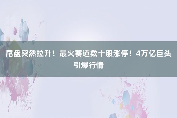 尾盘突然拉升！最火赛道数十股涨停！4万亿巨头引爆行情