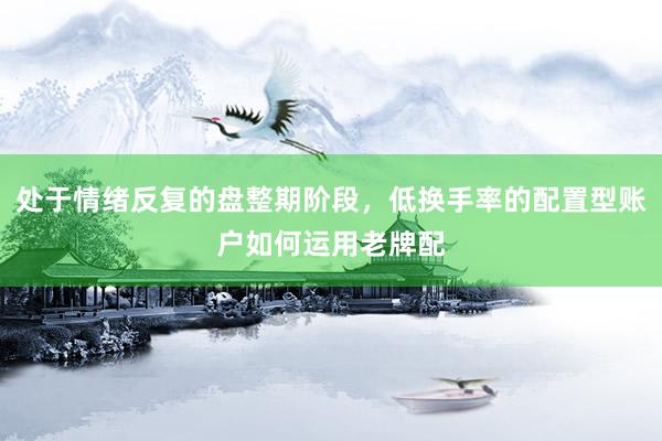 处于情绪反复的盘整期阶段，低换手率的配置型账户如何运用老牌配