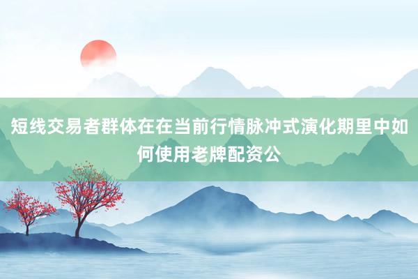 短线交易者群体在在当前行情脉冲式演化期里中如何使用老牌配资公
