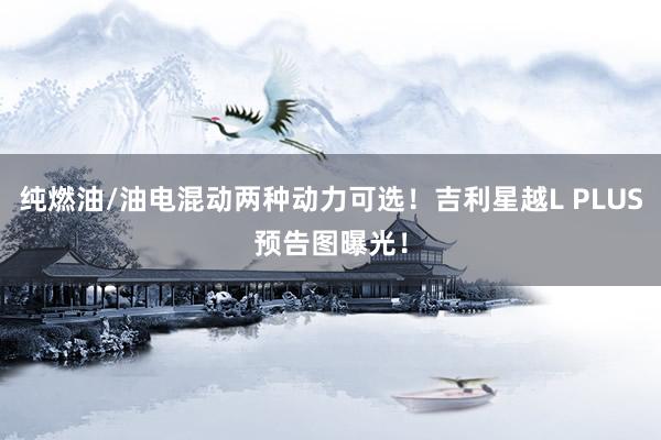 纯燃油/油电混动两种动力可选！吉利星越L PLUS预告图曝光！