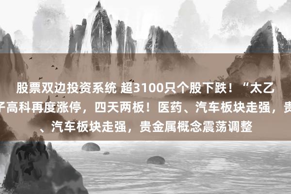 股票双边投资系统 超3100只个股下跌!“太乙救哪吒”概念股山子高科再度涨停,四天两板!医药、汽车板块走强,贵金属概念震荡调整