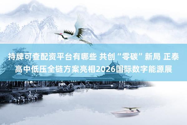 持牌可查配资平台有哪些 共创“零碳”新局 正泰高中低压全链方案亮相2026国际数字能源展
