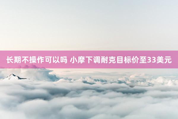 长期不操作可以吗 小摩下调耐克目标价至33美元