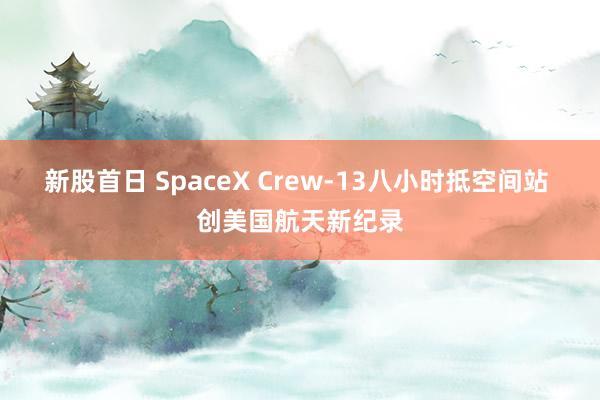 新股首日 SpaceX Crew‑13八小时抵空间站 创美国航天新纪录