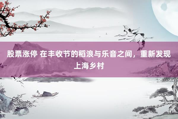 股票涨停 在丰收节的稻浪与乐音之间，重新发现上海乡村