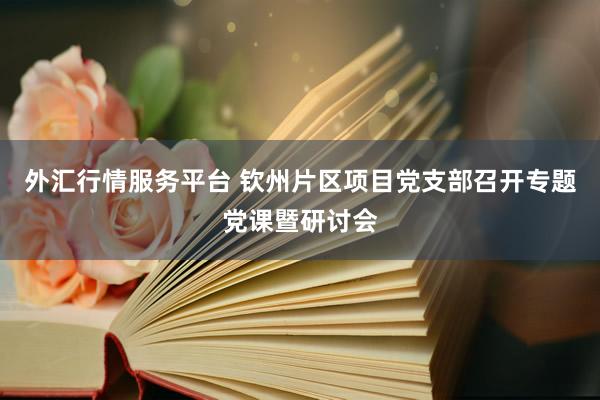 外汇行情服务平台 钦州片区项目党支部召开专题党课暨研讨会