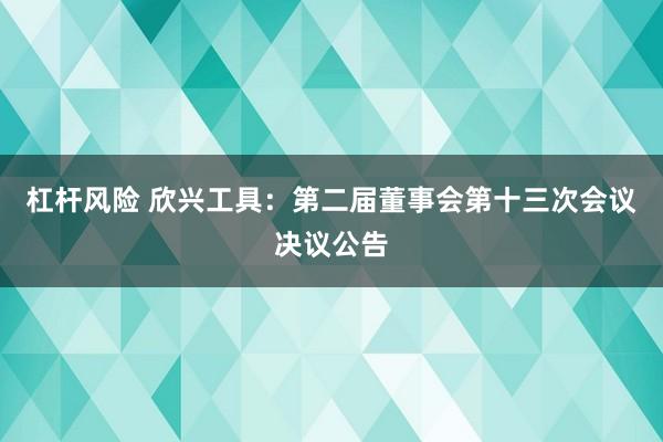 杠杆风险 欣兴工具：第二届董事会第十三次会议决议公告