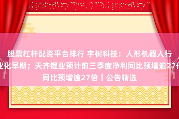 股票杠杆配资平台排行 宇树科技：人形机器人行业尚处于商业化早期；天齐锂业预计前三季度净利同比预增逾27倍丨公告精选